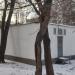 Трансформаторная подстанция № 19208 в городе Москва
