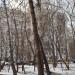 ул. Алексея Дикого, 5 корпус 2 в городе Москва