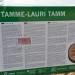 Tamme-Lauri oak - Estonia's largest oak tree