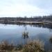 Остров в городе Гатчина