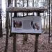 Стенд экотропы в лесу. в городе Гатчина
