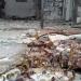 Запорожский дом кино в городе Запорожье