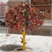 Дерево любви в городе Казань