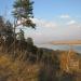 Барнаульский дендрарий в городе Барнаул