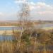 Барнаульский дендрарий в городе Барнаул