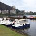 Swan shaped boats - to rent in Rio de Janeiro city