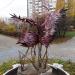 Фонтан со скульптурами фламинго в городе Москва