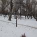 Сквер в городе Москва