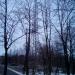 Опора ЛЭП в городе Красногорск
