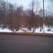 Овраг в городе Красногорск