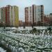просп. Красной Калины, 2б в городе Киев