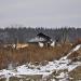 Руины здания в городе Киев