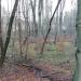 Ehemaliger Steinbruch (de) в городе Кассель