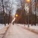 Центральная аллея в городе Москва