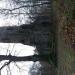 Aussichtsturm Elfbuchen (de) в городе Кассель