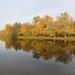 Kolonistsky Pond