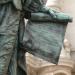 Statue of David Teniers the Younger in Antwerp city