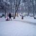 Детская игровая площадка в городе Красногорск