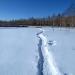 Пустырь в городе Нижнекамск
