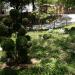 Jardim Japonês (pt) in Niterói city