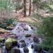 Jussowscher Wasserfall/Kaskade (de) в городе Кассель