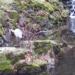 Wasserfall unterm Lac (de) в городе Кассель