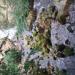 Wasserfall unterm Lac (de) в городе Кассель
