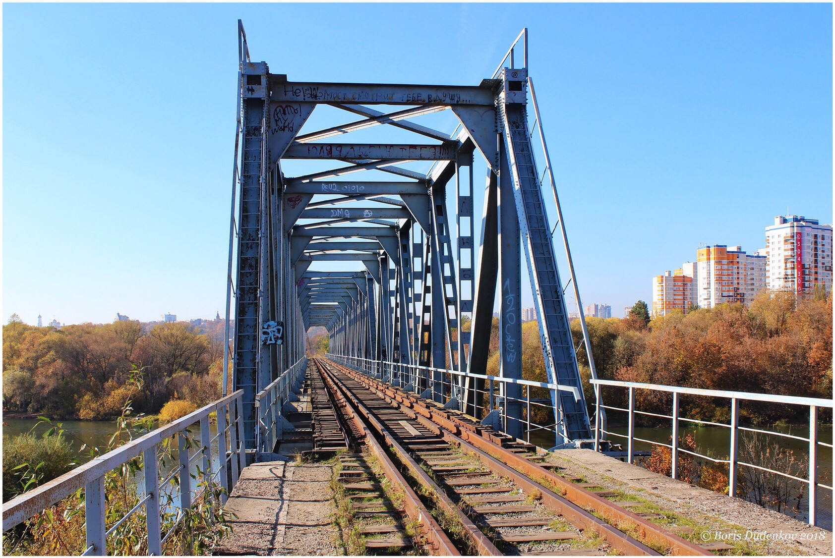 Железнодорожный мост Брянск