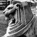 Left Lion in Nottingham city