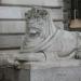 Right Lion in Nottingham city