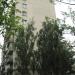 Голосеевский просп., 97а в городе Киев