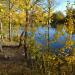 Yuzhny Tatarovsky Pond