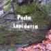 Porta Lapidaria (de) в городе Кассель