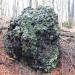Porta Lapidaria (de) в городе Кассель