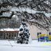 Управление особо охраняемых природных территорий по ВАО г. Москвы в городе Москва