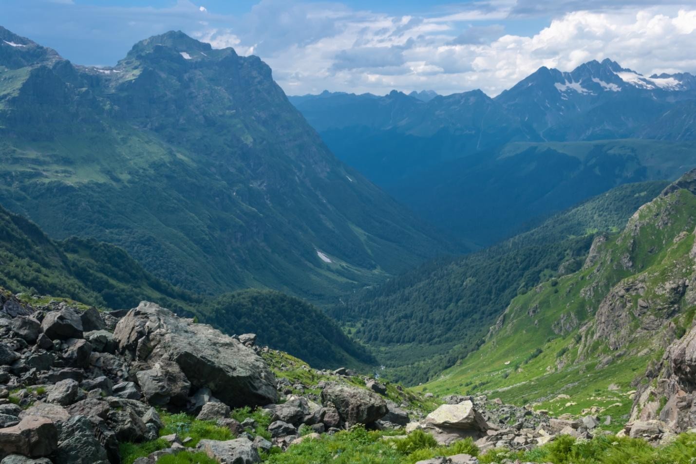 Абхазия Бзыбский хребет лес