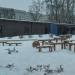 Площадка «Морское дно» в городе Москва