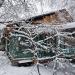 Жулебинский пр., 5 в городе Москва