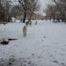 Конно-спортивный клуб в городе Запорожье