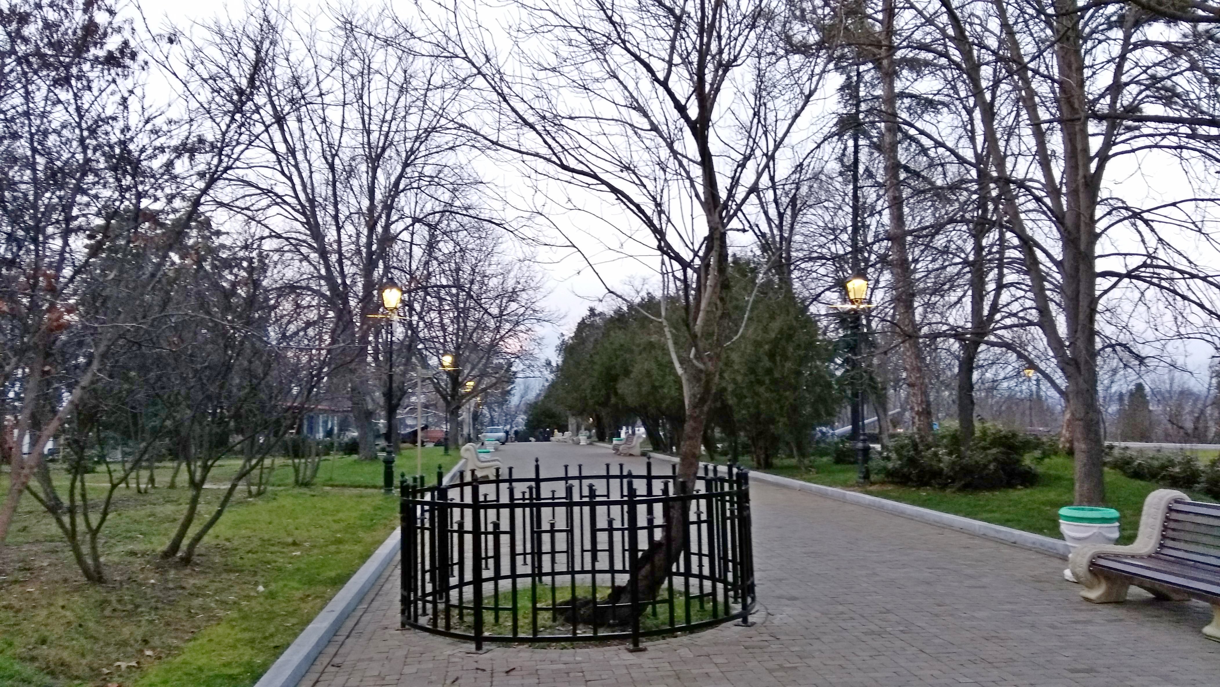 Севастополь Малахов Курган миндаль