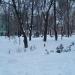 Сквер в городе Москва