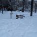 Памятный камень в городе Москва
