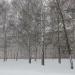 Днепровский бул., 6 в городе Могилёв