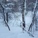 Пруд в городе Москва