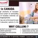 Colluni Education in Delhi city