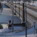 Скульптура льва в городе Могилёв