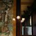 Café Harmonie in Ronse city