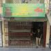 Thai Fish & Aquarium Shop, Pakistan Town (PWD) near AL-Latif Chemist in Islamabad city