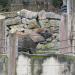 Elephant exhibit in Vienna city