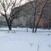 Сквер в городе Москва